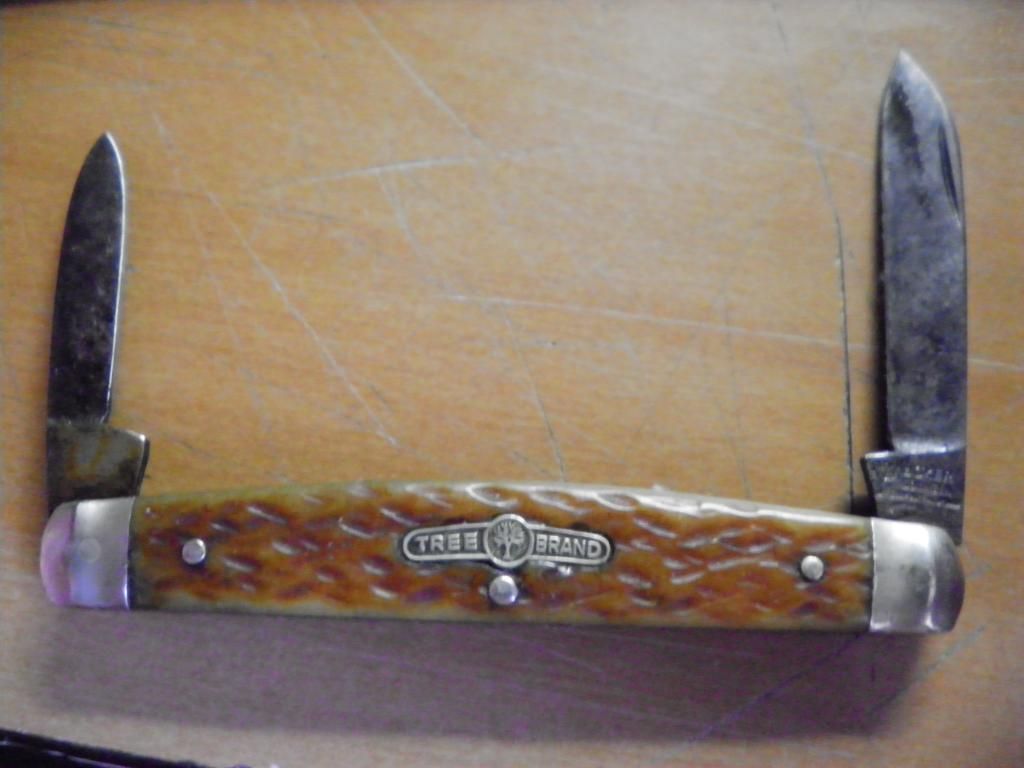 SANY1454.jpg