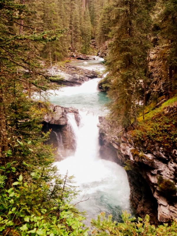 Banff2012265.jpg
