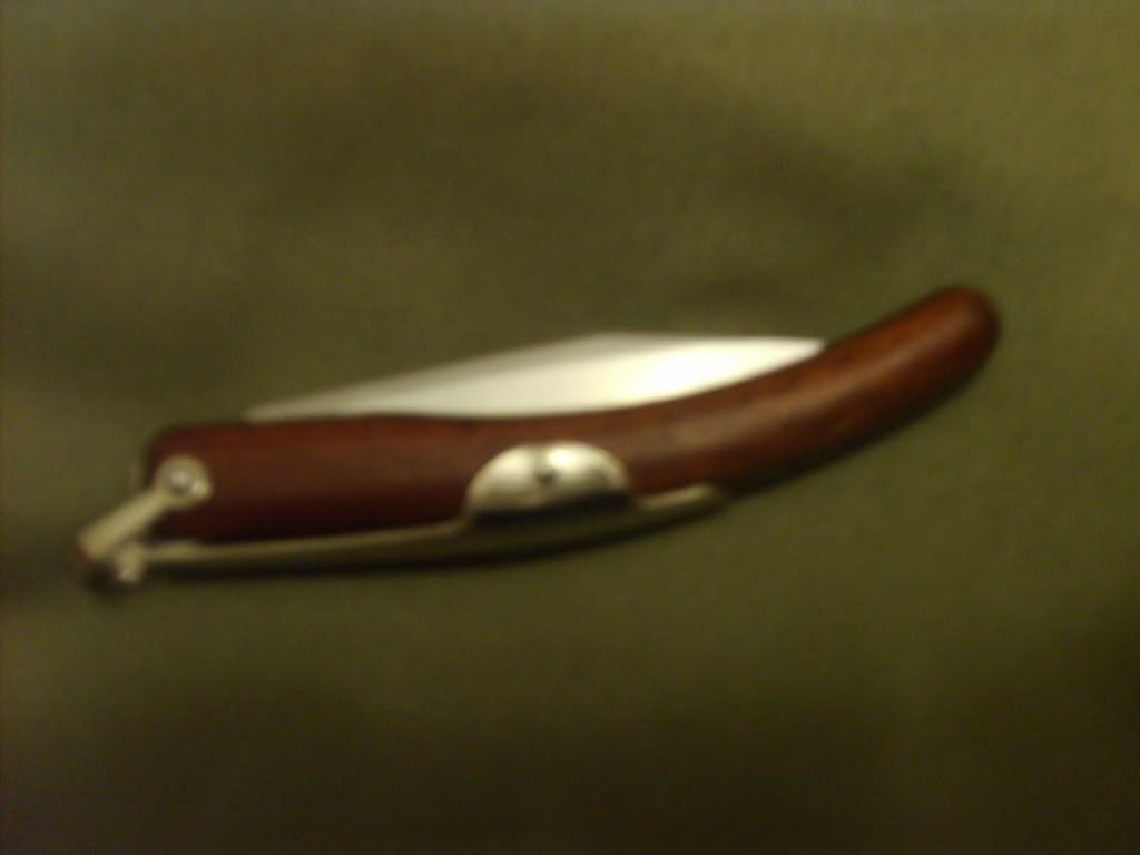 S5005539.jpg