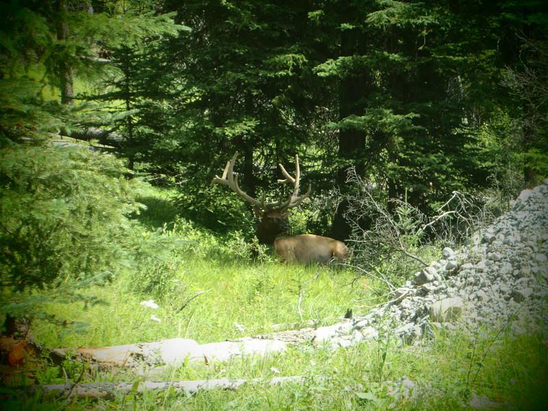 Banff2012132.jpg