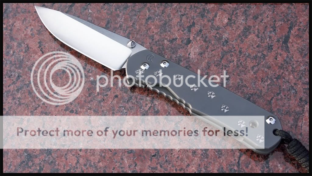 Sebenza_Stone.jpg