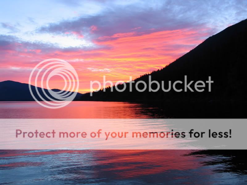 murtle_sunset.jpg