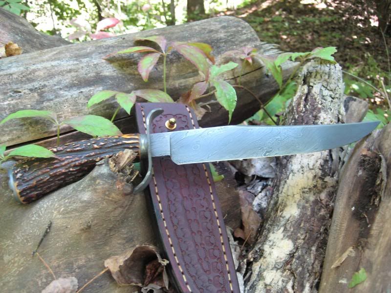 Camererbowie4.jpg