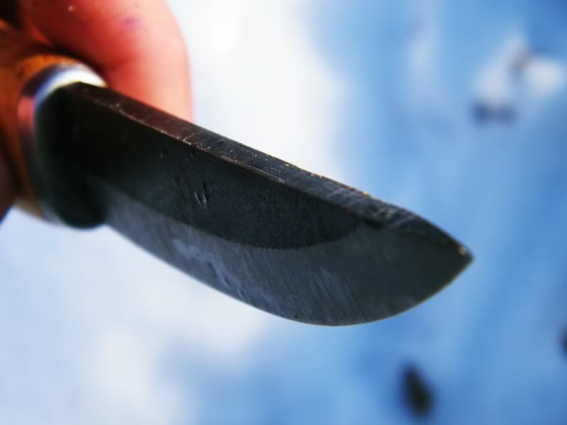 Bushcraft041.jpg