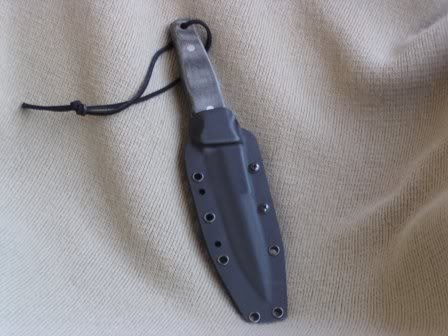 SpydercoChinook015.jpg