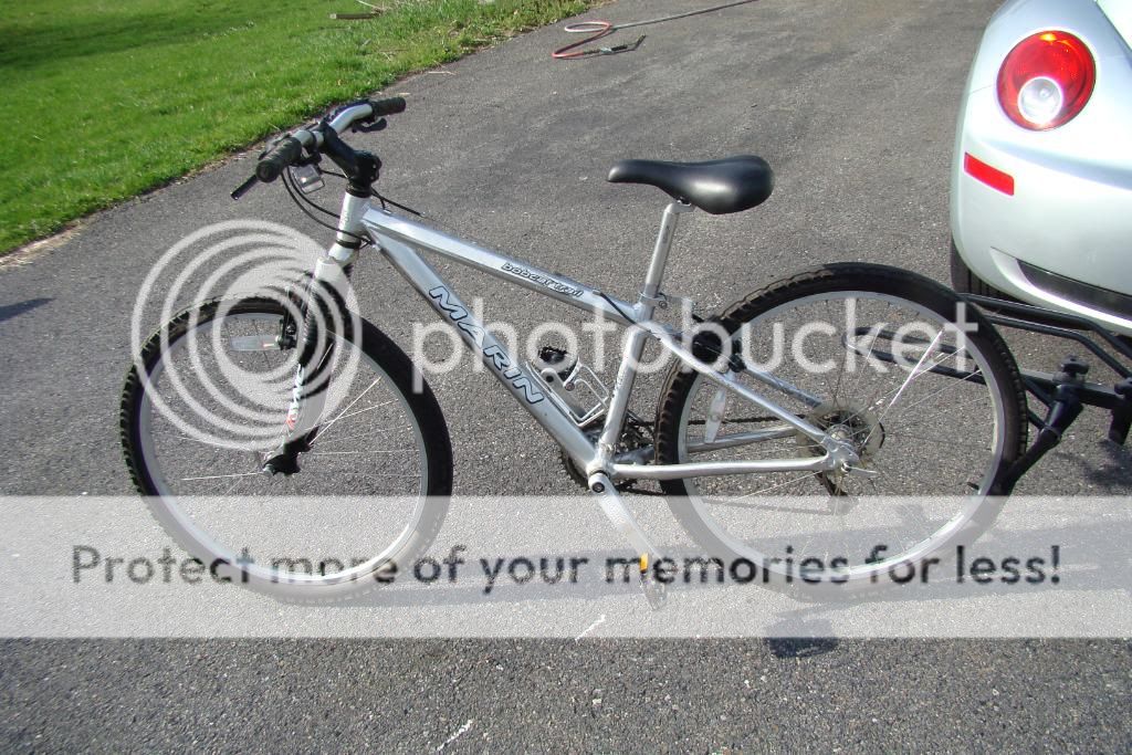 bicyclerackonbettle047.jpg