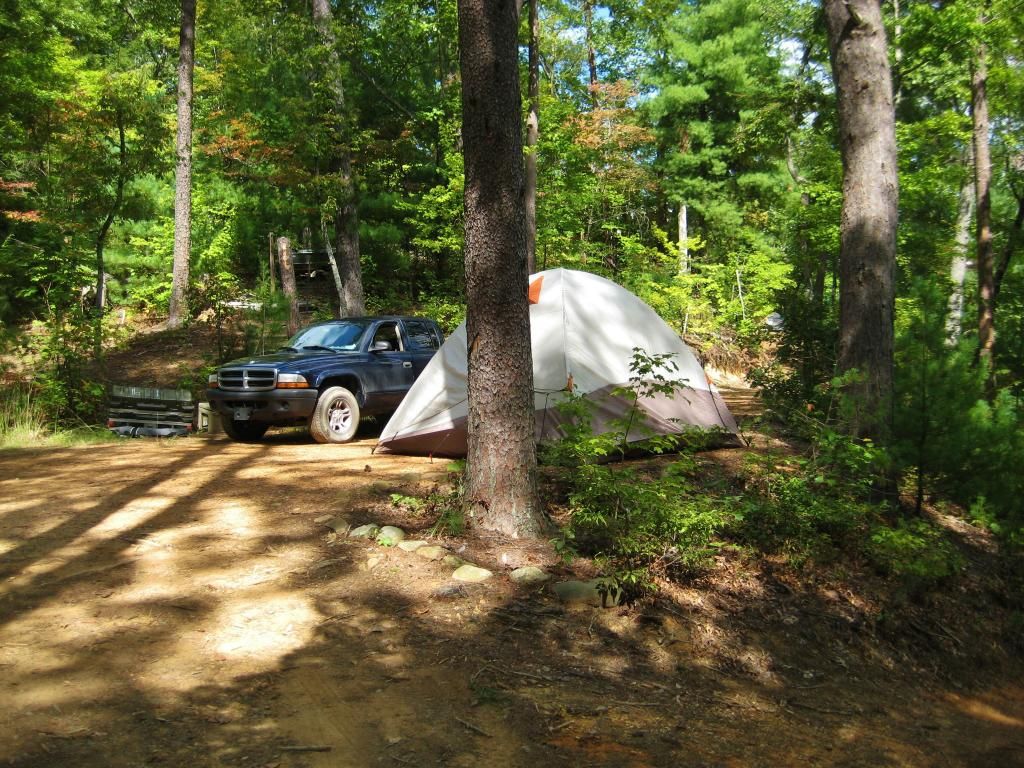 IMG_4558.jpg