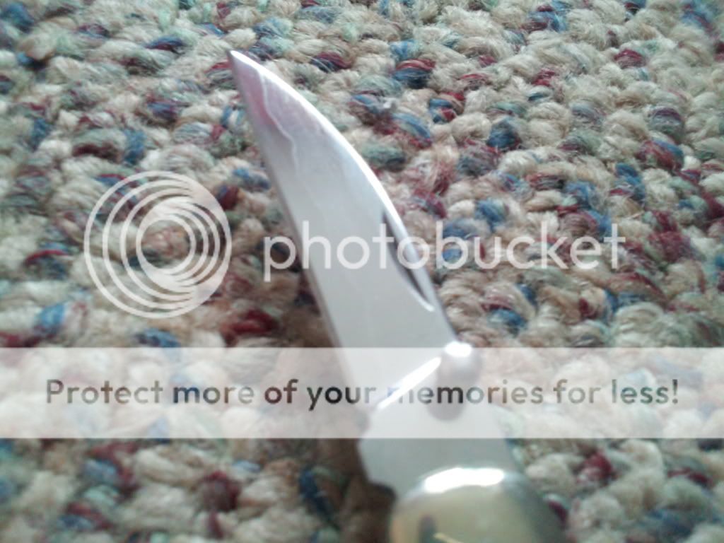 2013-11-27125027.jpg