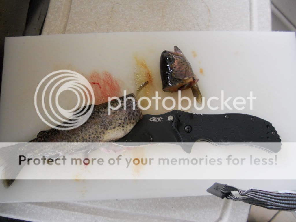 DSCN1910.jpg