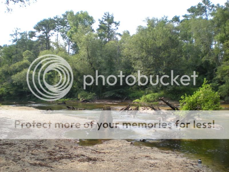 DSCN0278.jpg