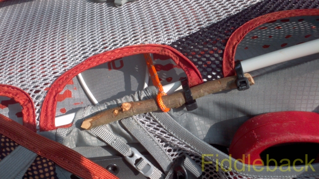 2011090120110826_103942_892-vi.jpg