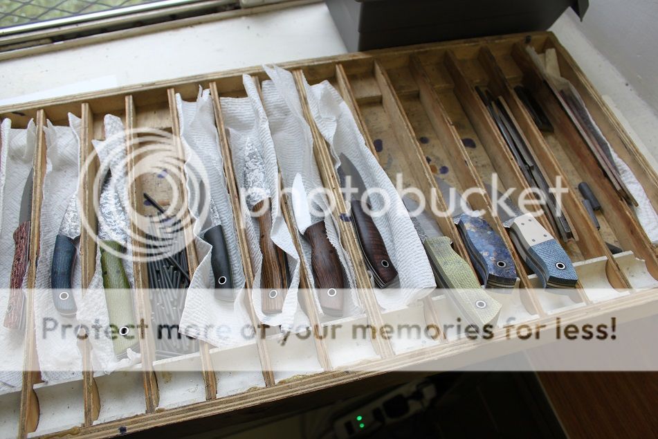 sneak_102715_41.jpg