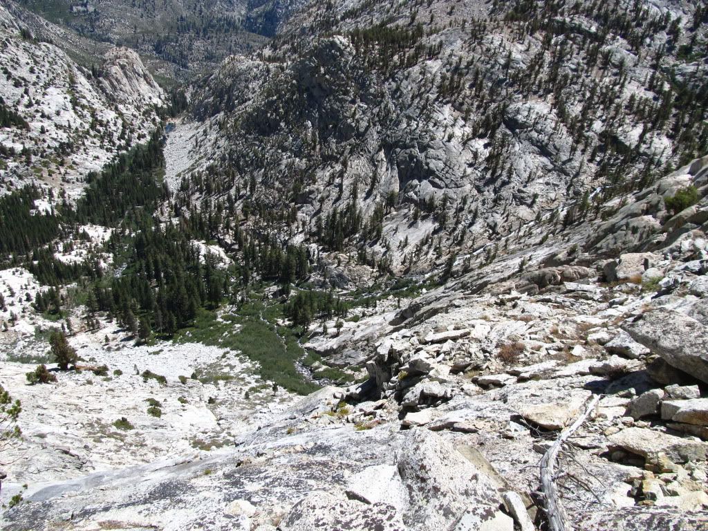 IMG_2520.jpg