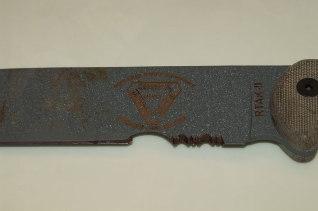 PICT0212.jpg