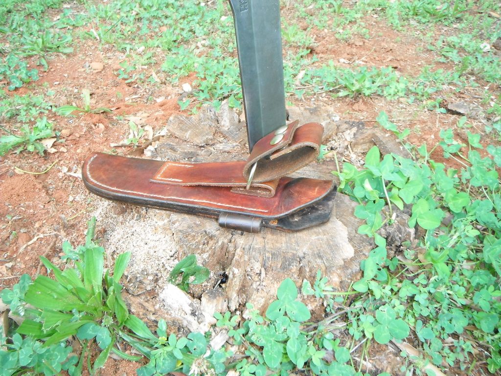 DSCF1508.jpg