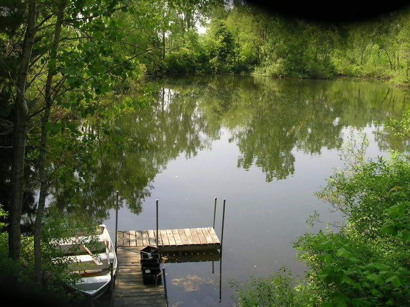 Myhowse4.jpg