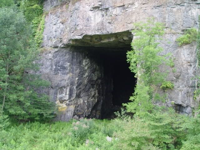 DSC02166.jpg