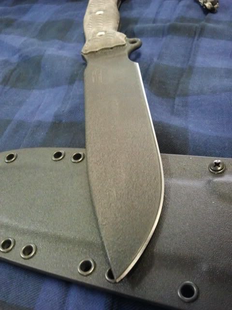2011-11-01165308.jpg