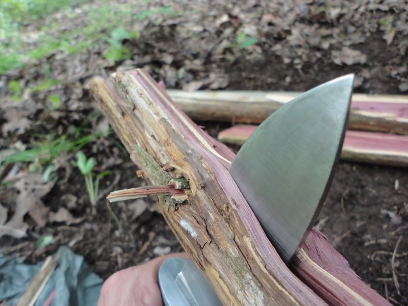 bushclass119.jpg