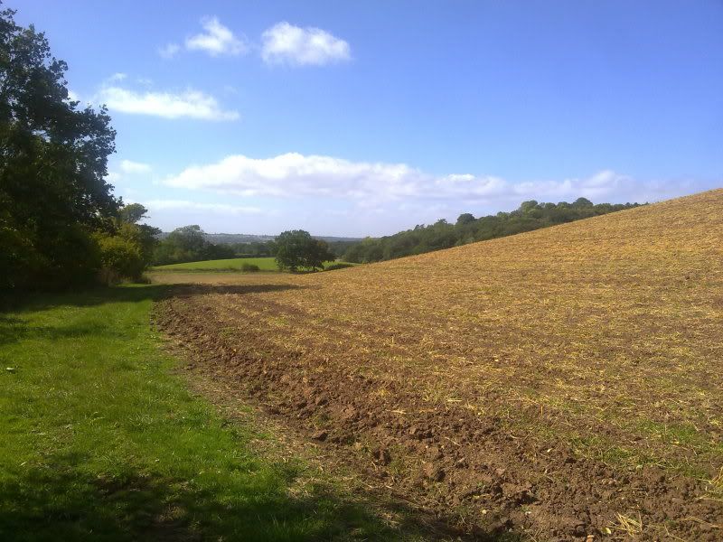 12092011154.jpg