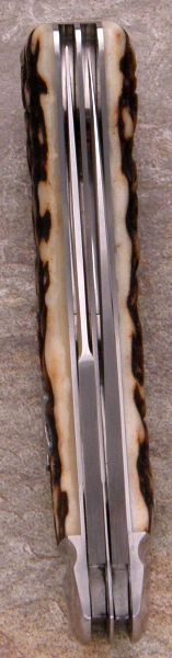 tbose-312stagWT-15.jpg