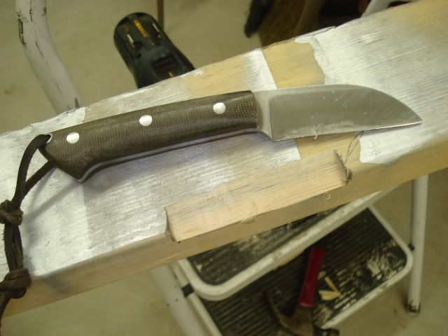DSC03105.jpg