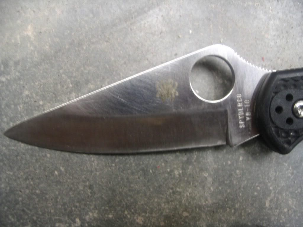 delica-4-beat-1.jpg