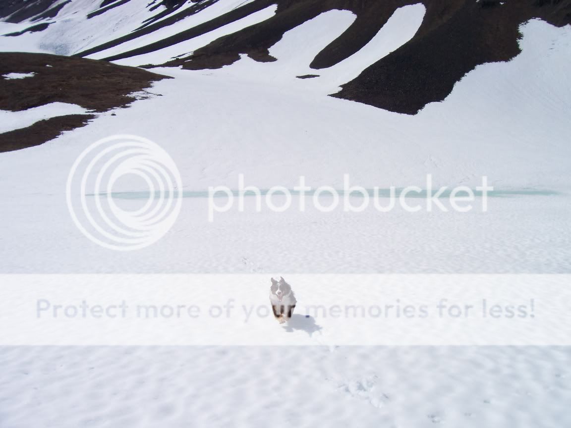 100_0219.jpg