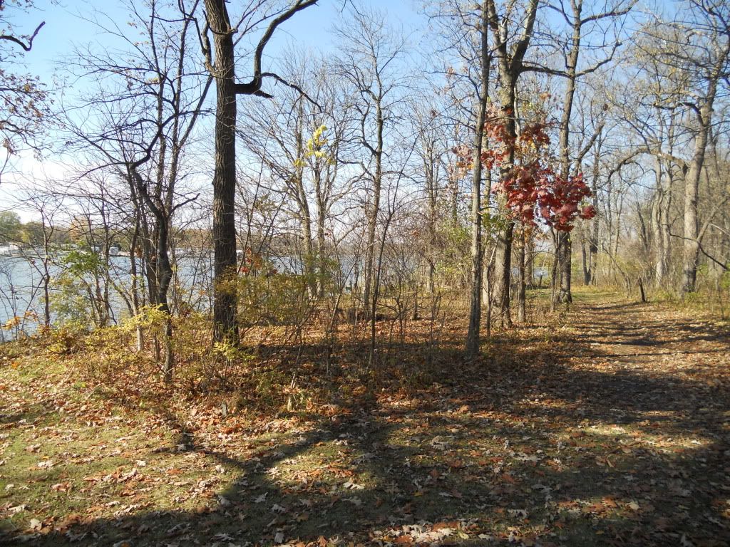 NOVEMBER5TH2011015.jpg