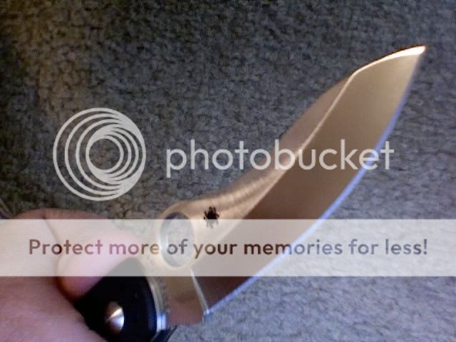 Photo17.jpg