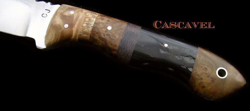 CascavelLeftHandle.jpg