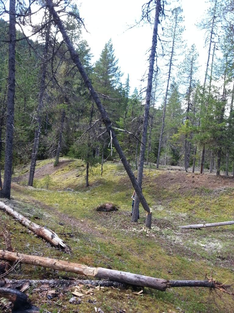 20130830_133534_zps04c06161.jpg