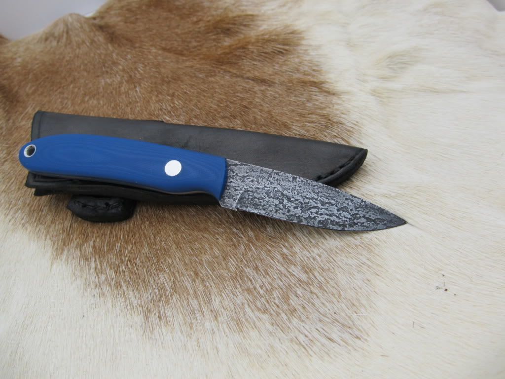 Blueg10edc010.jpg