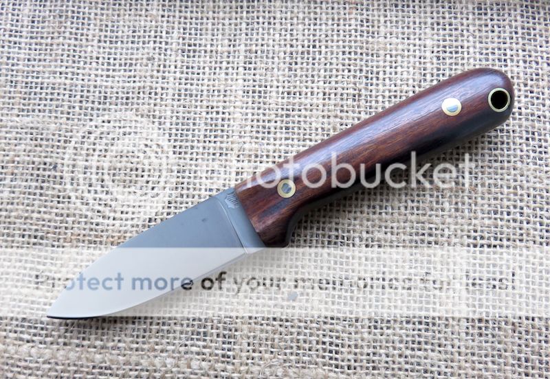 IMG_1445.jpg~original