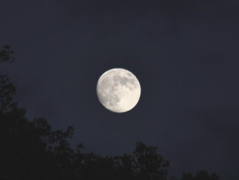 DSC_8521.jpg