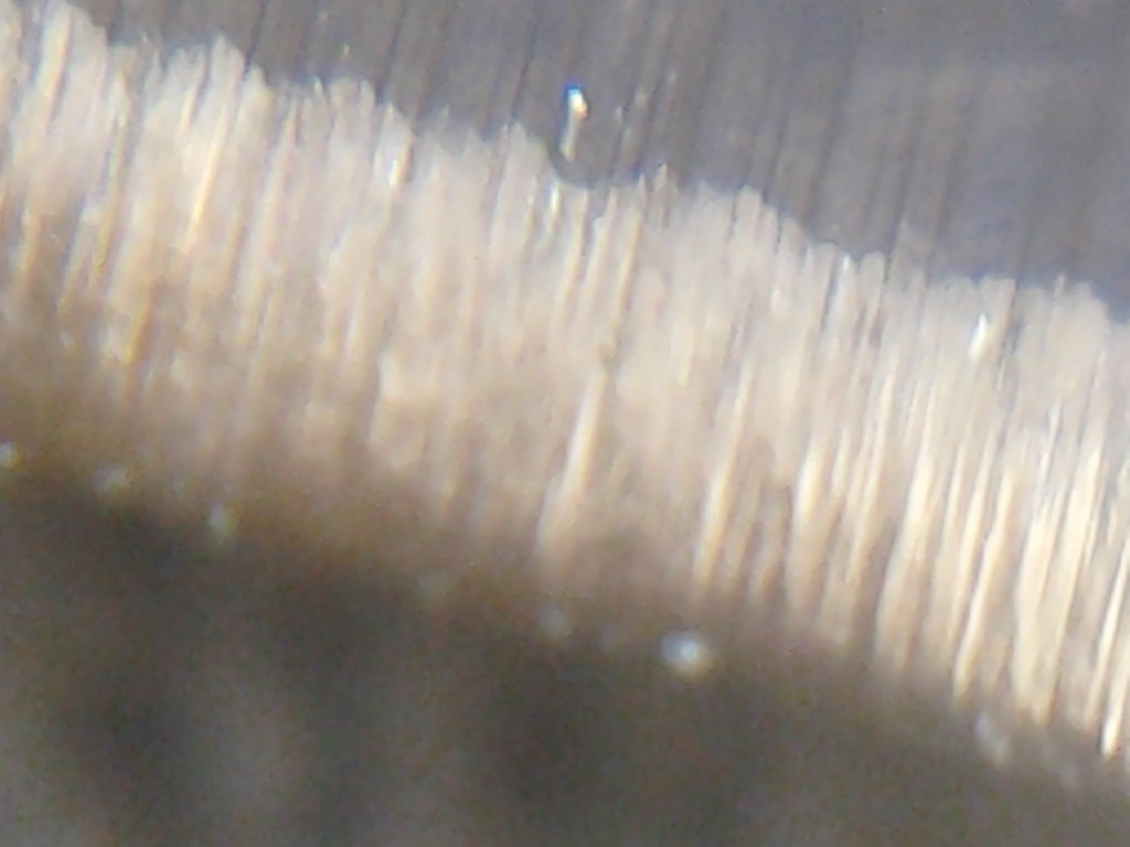 11701941546_2c340ee460_b.jpg