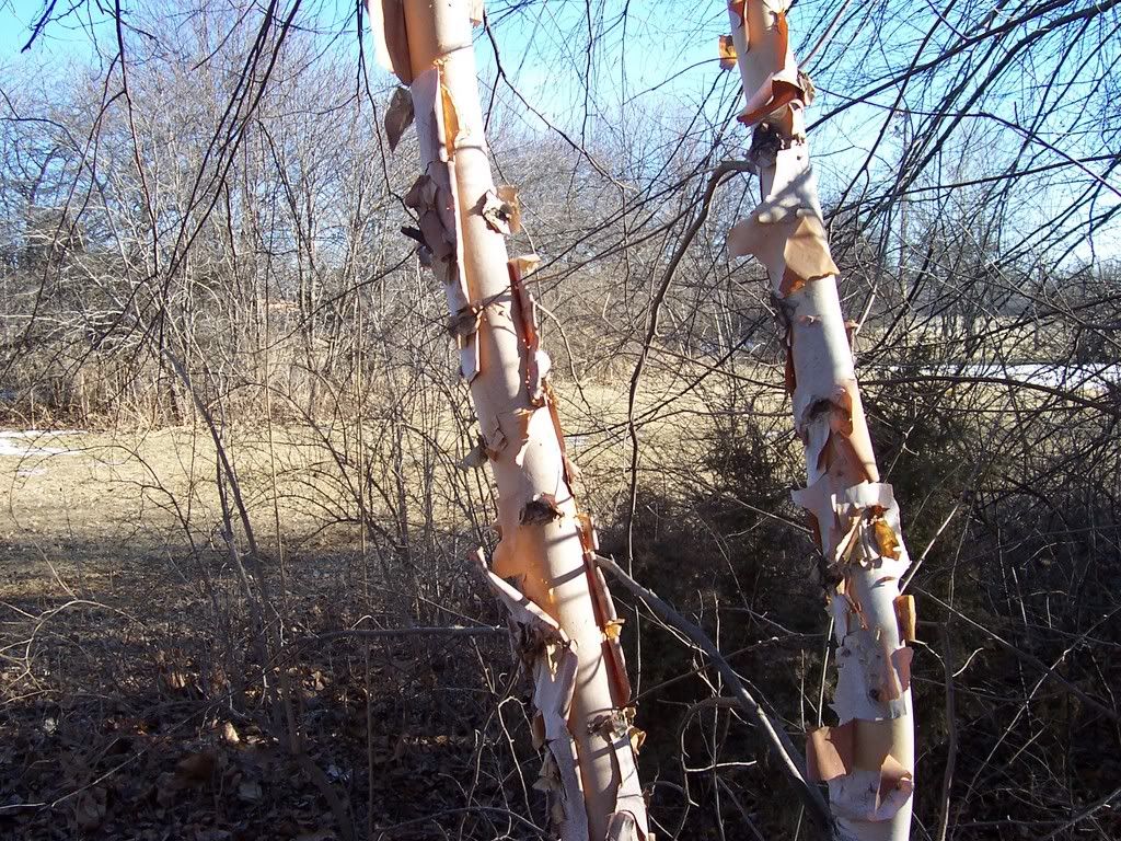 100_0167.jpg