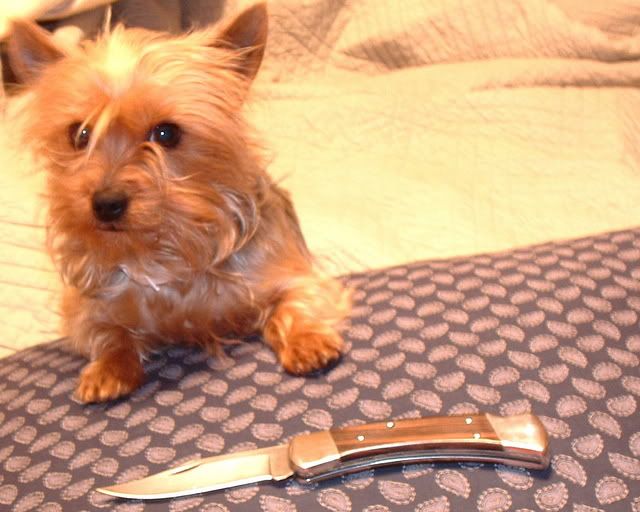 keepyurpawsoff.jpg