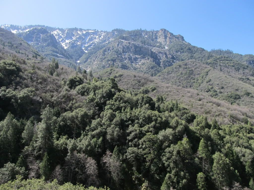 IMG_0965.jpg