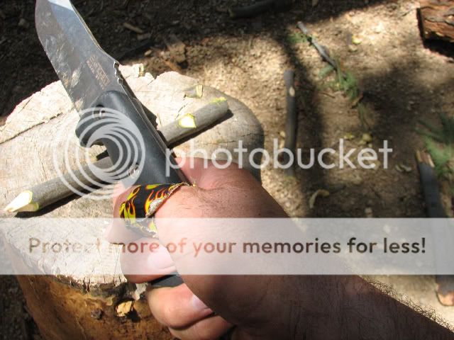 f3.jpg