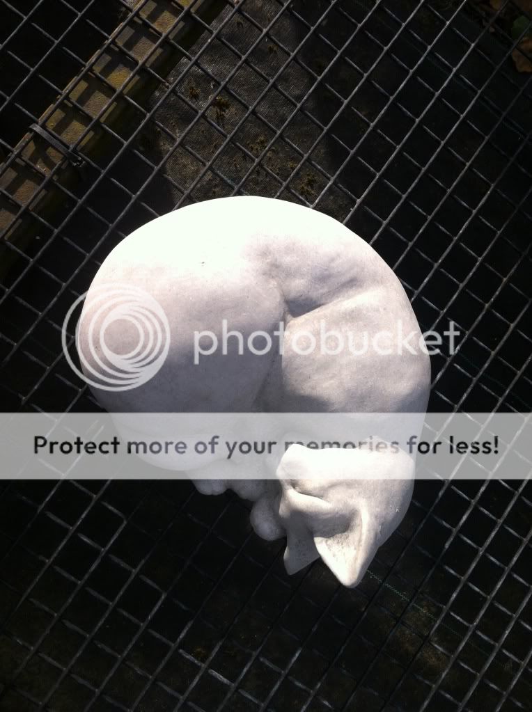 RattlesnakeLake15_zpsa244e5c9.jpg