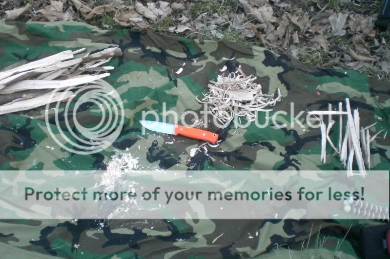 CIMG3118.jpg