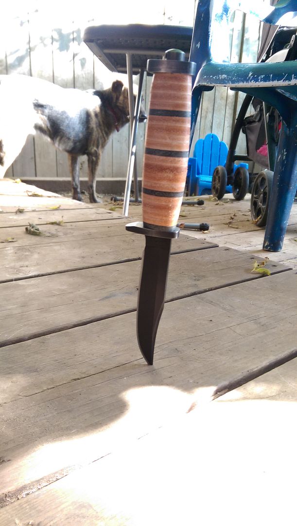 IMAG0790_zpsjy087yha.jpg
