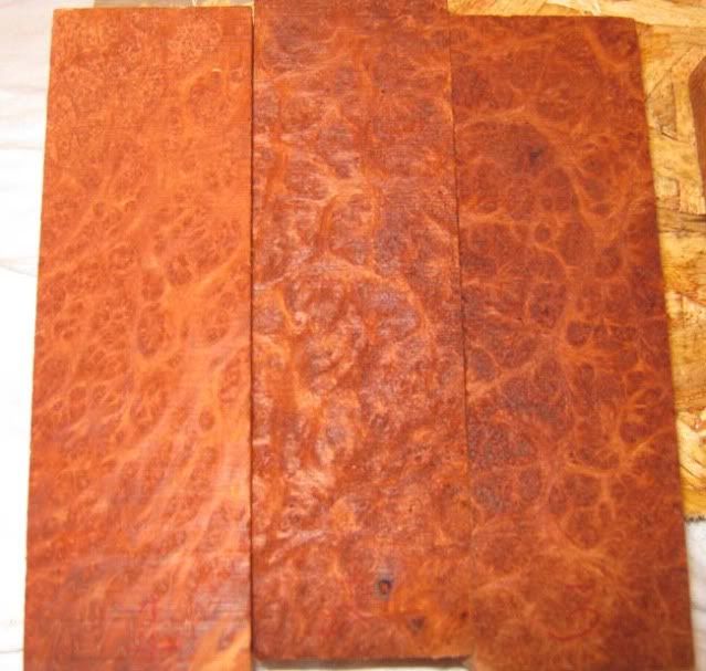 redwood123a.jpg