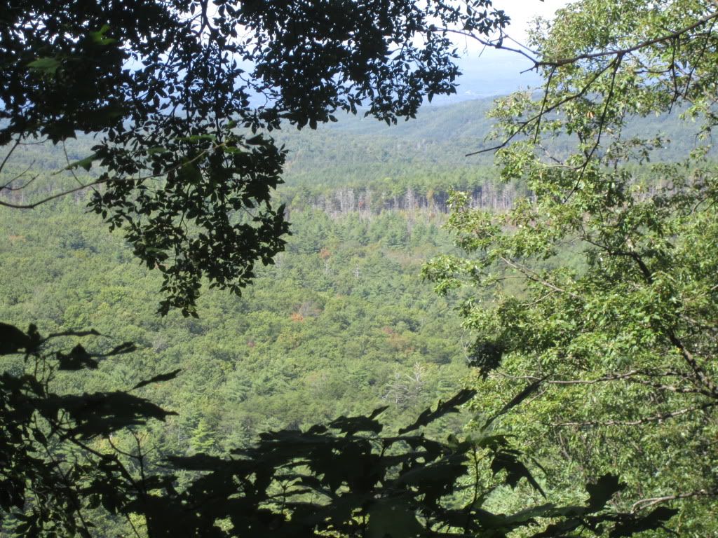 IMG_0613.jpg