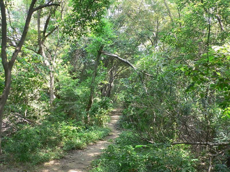 P1350154.jpg