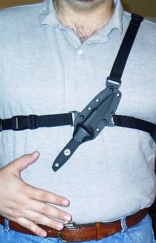 survsh-12.jpg