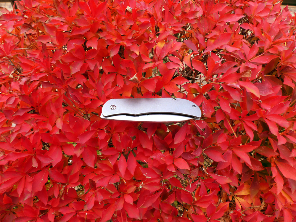 EXK_foliage.JPG