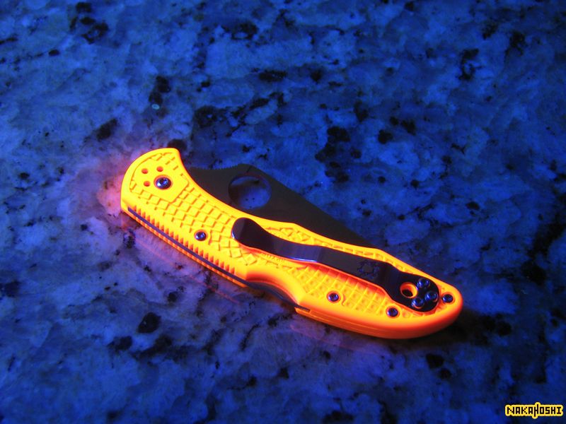 Orange_Delica_2.jpg