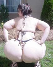 fatty2.jpg